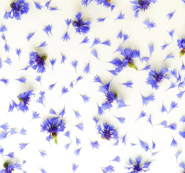 Flowers background. Frame from blue cornflowers on white background. Copy space. Top view - Zdjęcie, obraz