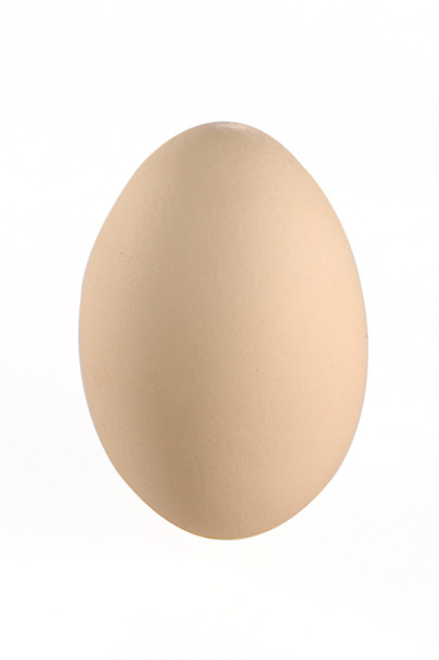 Egg - Foto, Imagen