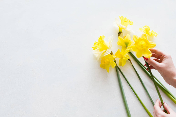 yellow narcissus white background floral bouquet - Photo, image