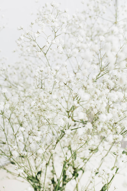 Witte gypsophila bloemboeket op witte achtergrond. Concept minimale vakantie. - Foto, afbeelding