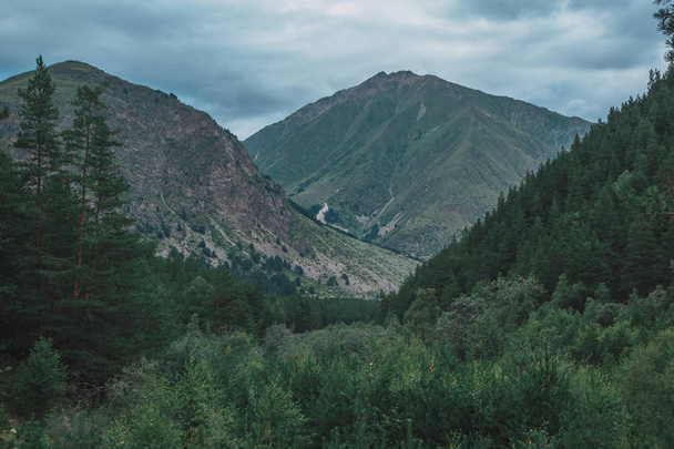 Mountain river Baksan, ravine Adyr-Su, Elbrus area, Greater Caucasus Range. Elbrus, mountains in summer. Greater Caucasus Mountains from Mount Elbrus - Photo, Image