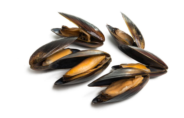 mussels isolated on white background - Photo, Image
