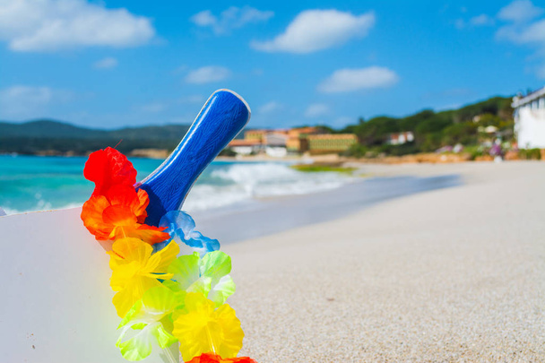 Beach raket ve yaz aylarında deniz kum kolye - Fotoğraf, Görsel