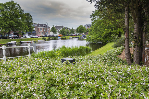 landscape of a canal with plants boats and the surrounding houses. City of Alkmaarr. netherlands holland - Photo, Image