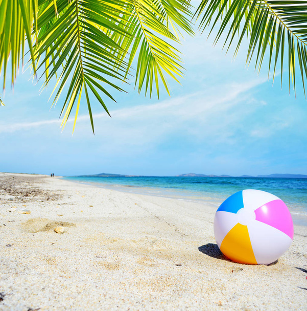 Strandball unter einer Palme am Meer - Foto, Bild