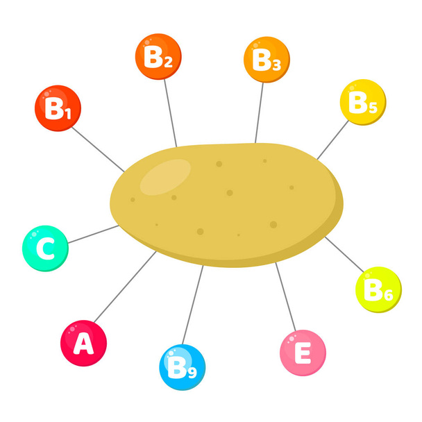 Infographics. vitamins contained in vegetables. trace elements in colored circles. Potato - Vector, Image
