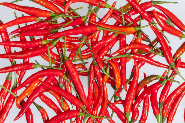 Κόκκινη καυτερή πιπεριά μια απομονωμένη σε λευκό φόντο - Φωτογραφία, εικόνα