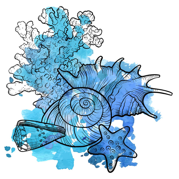 vector background with seashells - Vector, imagen