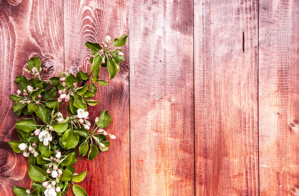 Voorjaarsbloeiende tak op houten achtergrond. Appelbloesems - Foto, afbeelding