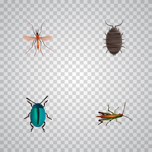 Set von insektenrealistischen Symbolen mit Moskito, Käfer, Heuschrecke und anderen Symbolen für Ihr Webdesign für mobile Apps. - Vektor, Bild