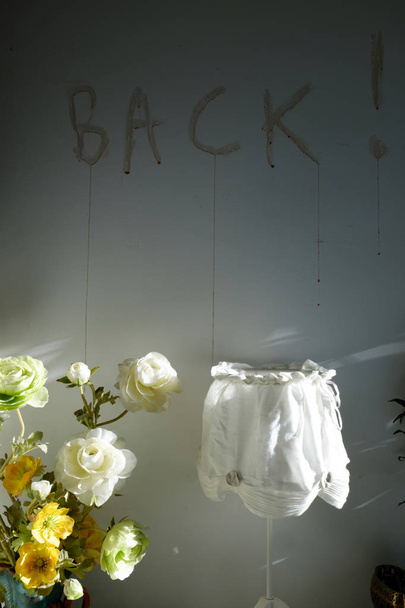 the inscription "back" on a shaded wall with a lamp and artificial flowers - Фото, изображение