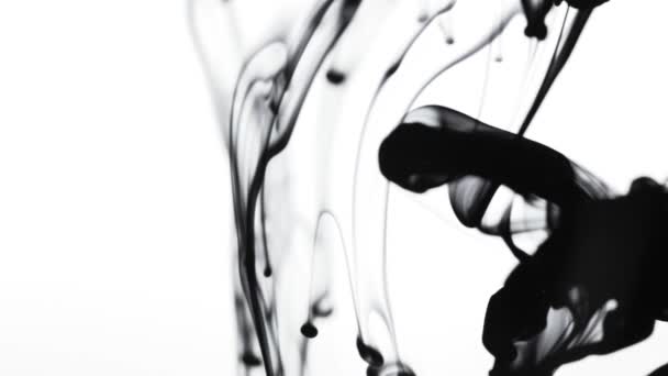 La tinta fluye en tinta negra agua sobre un fondo blanco
 - Metraje, vídeo