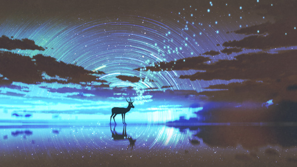 silhouet van de herten lopen op water tegen nachtelijke hemel met blauw licht, digitale kunststijl, illustratie, schilderkunst - Foto, afbeelding