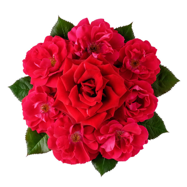Μπουκέτο από πολλούς κόκκινα τριαντάφυλλα απομονωμένα σε λευκό. Το Top view. - Φωτογραφία, εικόνα