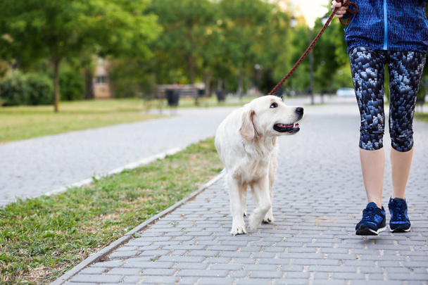 Young woman with her dog together in park. Pet care - Photo, Image