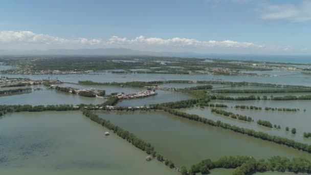 Town among the water in mangroves. - Footage, Video