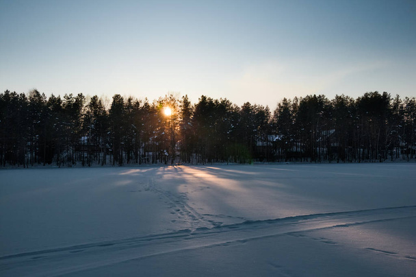 Sunset over the frozen lake and pine forest. Footsteps tracks on the snow. - Fotografie, Obrázek