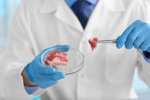 Εξέταση δείγματος κρέατος επιστήμονας στο εργαστήριο - Φωτογραφία, εικόνα