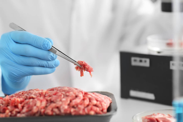 Cientista que examina o recheio de carne em laboratório
 - Foto, Imagem