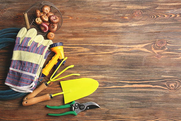 Gardening equipment with bulbs on wooden background - 写真・画像