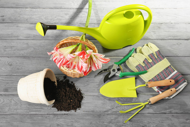 Flowers and gardening equipment on wooden background - Photo, Image