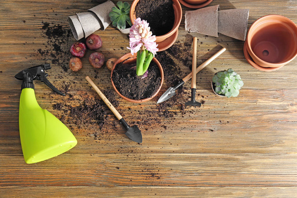 Blooming hyacinth, flowerpots and gardening tools on wooden background - Photo, Image