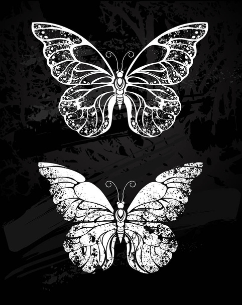 Painted white chalk on black chalkboard  silhouette butterfly morfida. Design with butterflies. Drawing with chalk. Butterfly morpho - Vetor, Imagem