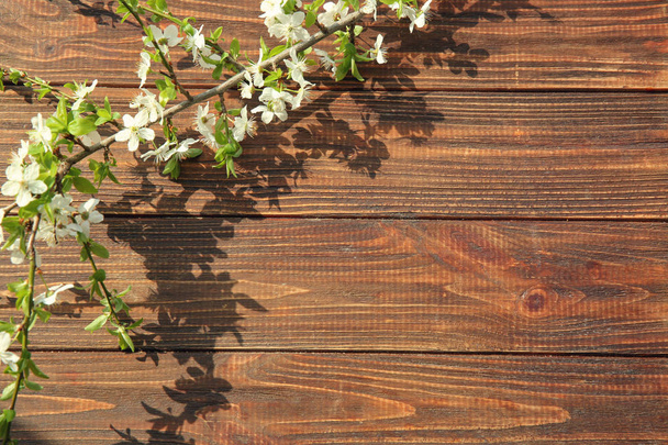 Bei rami in fiore su sfondo di legno - Foto, immagini
