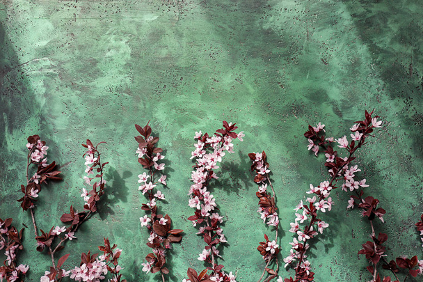 Beautiful blossoming branches on color textured background - Fotografie, Obrázek