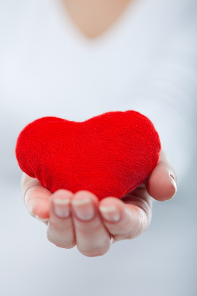 Coeur rouge dans la main de la femme
 - Photo, image
