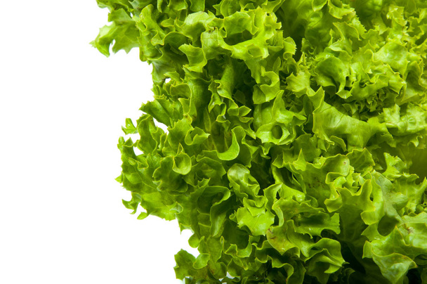 Verse sla salade laat biologisch voedsel geïsoleerd op de witte achtergrond - Foto, afbeelding