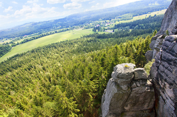Sudety mountain forest in Poland - Фото, зображення