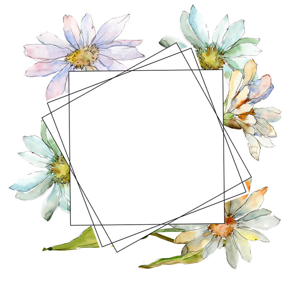 White daisy. Floral botanical flower. Frame border ornament square. Aquarelle wildflower for background, texture, wrapper pattern, frame or border. - Valokuva, kuva