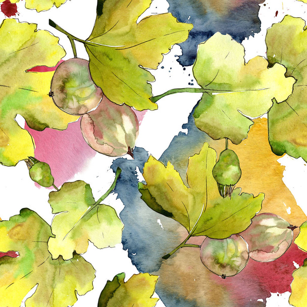 Gooseberry leaf and berry in a watercolor style. Seamless background pattern. Fabric wallpaper print texture. Aquarelle leaf for background, texture, wrapper pattern, frame or border. - Photo, Image