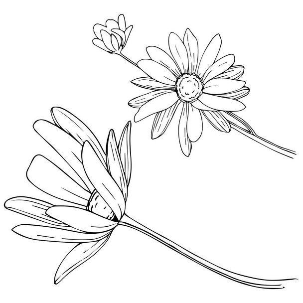 Daisy in a vector style isolated. Full name of the plant: Daisy. Vector flower for background, texture, wrapper pattern, frame or border. - Vektor, kép