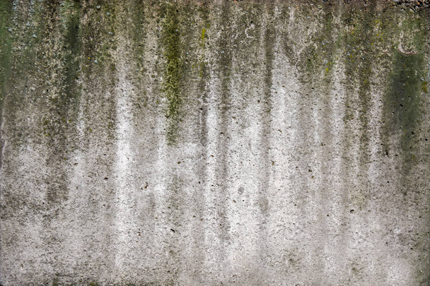 Concrete wall grees moss outdor building texture wallpepr - Φωτογραφία, εικόνα