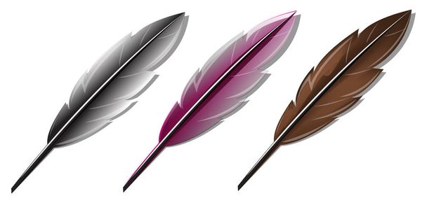 feather pen set on white background - Vector, Image