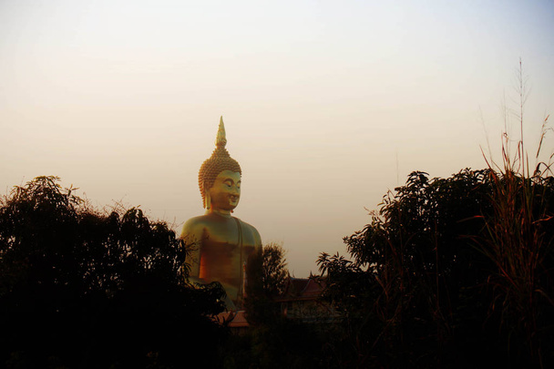 Большой Будда и дерево на небе
. - Фото, изображение