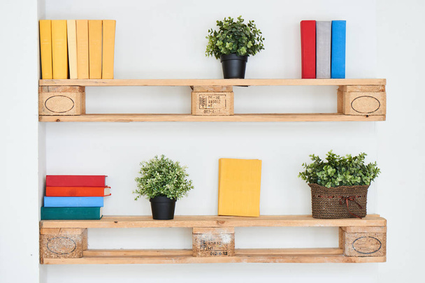 wooden shelves with books and plants on white wall - Fotoğraf, Görsel