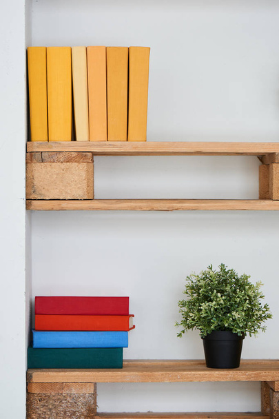prateleiras de madeira com livros e planta na parede branca
 - Foto, Imagem