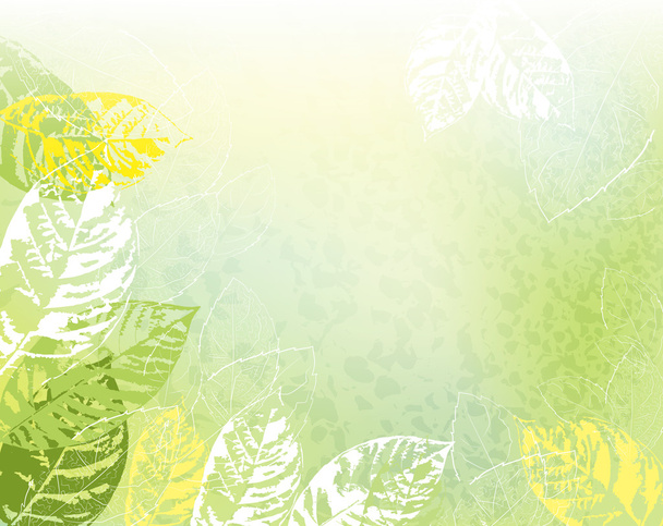Spring background - Vector, Image