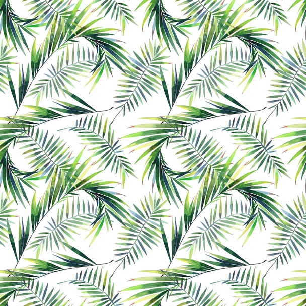 Bright beautiful green herbal tropical wonderful hawaii floral summer pattern of a tropic palm leaves watercolor hand illustration. Perfect for textile, wallpapers, backgrounds - Zdjęcie, obraz