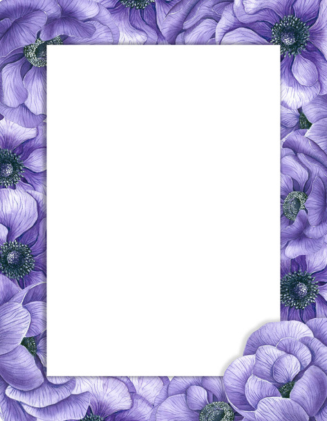 Watercolor background with violet anemone flowers and space for text. - Фото, зображення