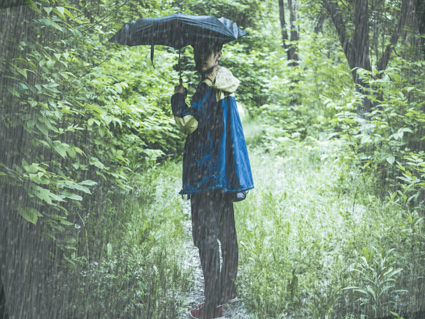 hombre en abrigo con paraguas y bolsa de senderismo de la montaña en el bosque en el camino
 - Foto, imagen