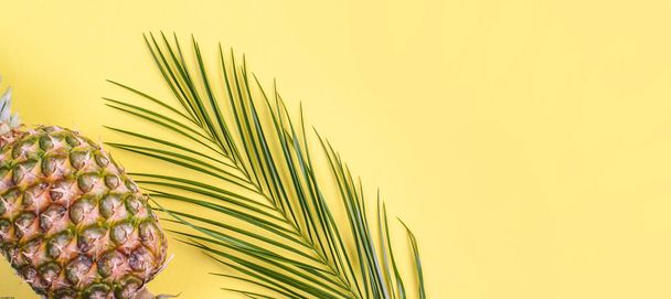 Tropical fruit, and a palm branch on a yellow background. Free space for text. Long format, banner. Flat lay, copy space - Photo, Image