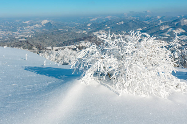 Morning winter calm mountain landscape with beautiful frosting trees and snowdrifts on slope (Carpathian Mountains, Ukraine) - Foto, imagen