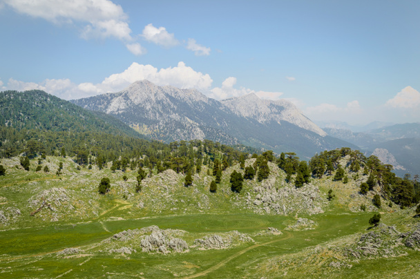 malebný pohled zelená highland, stromy a horami pod modré Slunečné nebe, Kappadokie, Turecko - Fotografie, Obrázek