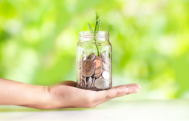 Заощаджуйте гроші Відсотки рослин Зростання заощаджень Монети гроші в склі заощаджують гроші з рукою кладуть монети Зелений Природний фон
 - Фото, зображення