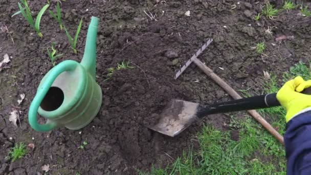 Женщина копает лопатой почву
 - Кадры, видео