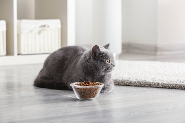 Adorable cat near bowl with food at home - Foto, Imagem